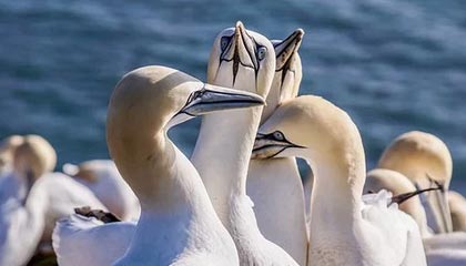 想啥呢？特尔获得绝佳单刀，踩单车后踢到门将身上，特尔斯特