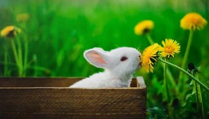 想啥呢？特尔获得绝佳单刀，踩单车后踢到门将身上，特尔斯特