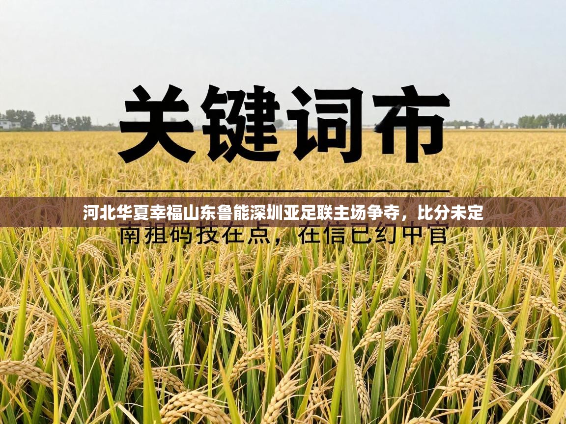 河北华夏幸福山东鲁能深圳亚足联主场争夺，比分未定  第2张