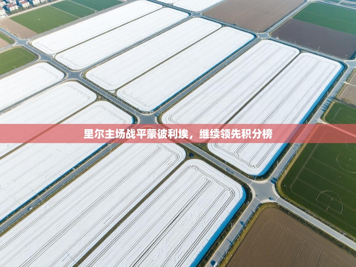 里尔主场战平蒙彼利埃，继续领先积分榜