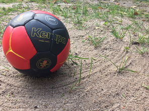 开云体育中国官网-凯-费尔德与新赛季目标：冲击总冠军，队员备战状态良好